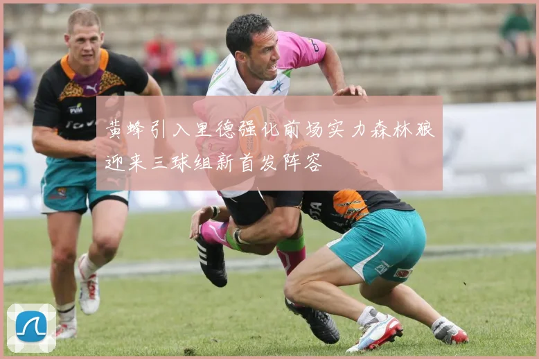 黄蜂引入里德强化前场实力森林狼迎来三球组新首发阵容