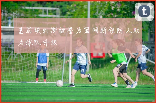 基翁埃利斯被誉为篮网新领防人助力球队升级